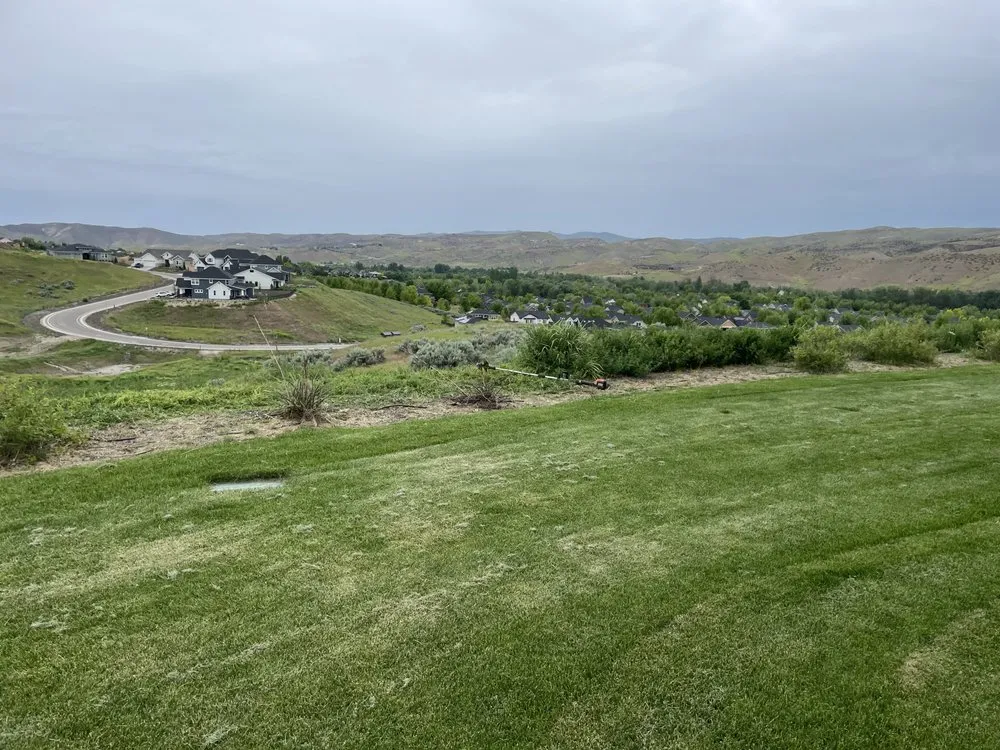 Professional yard cleanup service in Nampa, ID by Paradise Landscapes