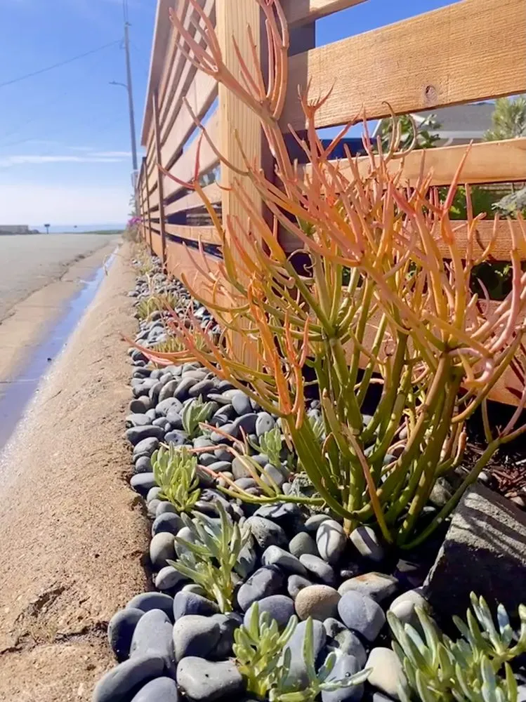 Local residential landscaping in Paso Robles, CA - Paradise Landscapes