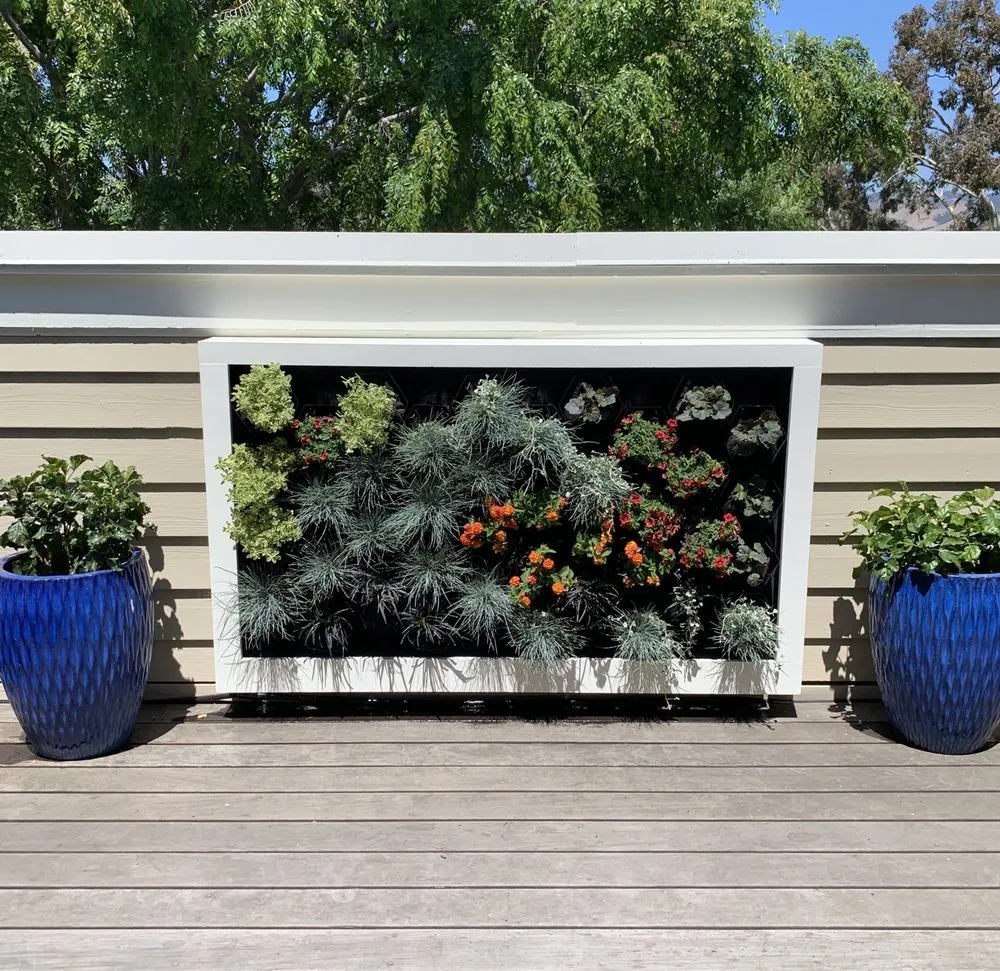 Affordable yard maintenance in Paso Robles, CA by Paradise Landscapes