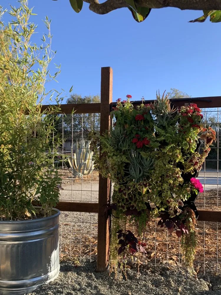 Reliable landscape design near you in Paso Robles, CA by Paradise Landscapes