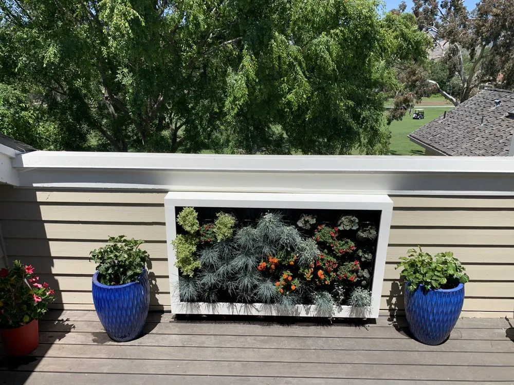 Affordable yard cleanup service experts serving Paso Robles, CA - Paradise Landscapes