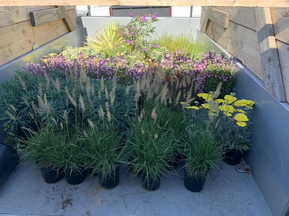 Expert residential landscaping experts serving Paso Robles, CA - Paradise Landscapes