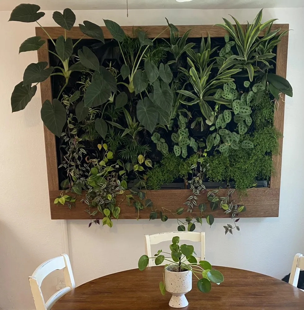 Expert landscaping services in Paso Robles, CA - Paradise Landscapes