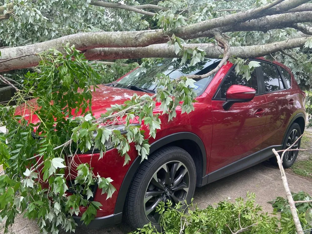 Local outdoor landscaping with custom design across San Diego, CA - Paradise Landscaping & Construction