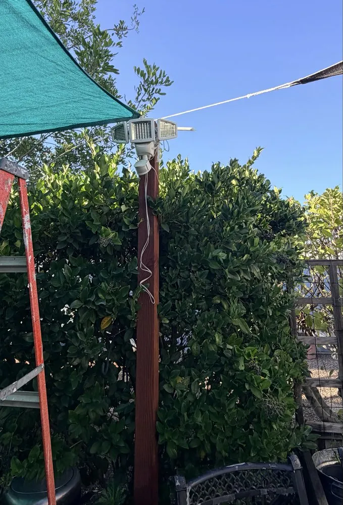 Top-rated lawn mowing service for year-round maintenance in San Diego, CA by Paradise Landscaping & Construction