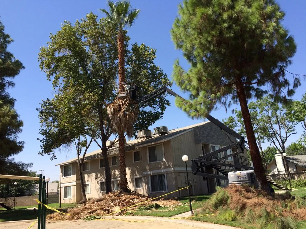 Local landscape design in San Diego, CA - Paradise Landscaping & Construction