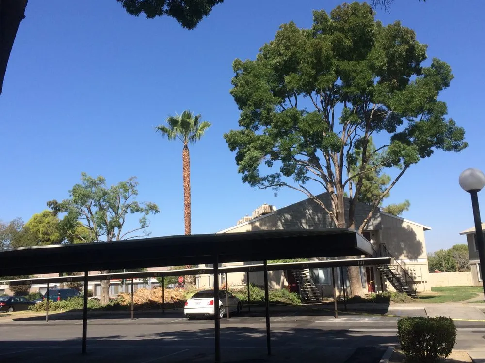 Custom lawn mowing service in San Diego, CA by Paradise Landscaping & Construction