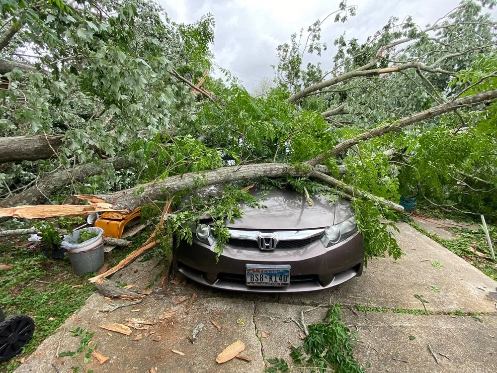 Custom landscape design for beautiful yards in San Diego, CA by Paradise Landscaping & Construction
