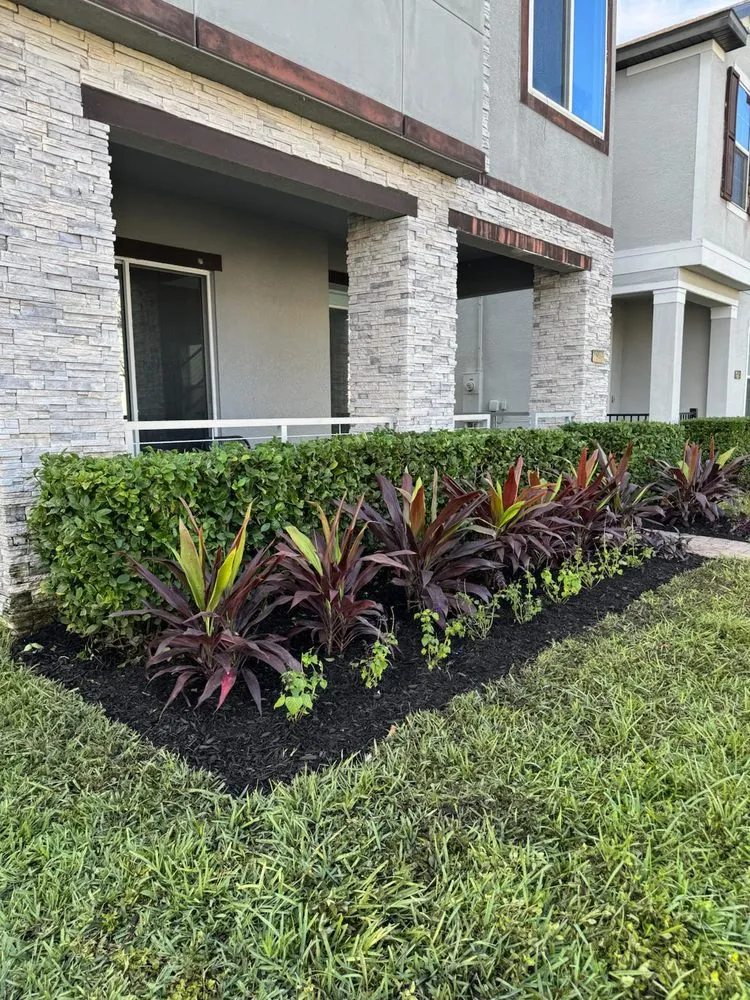 Professional landscaping services experts serving Winter Garden, FL - Paradise Landscaping & Irrigation