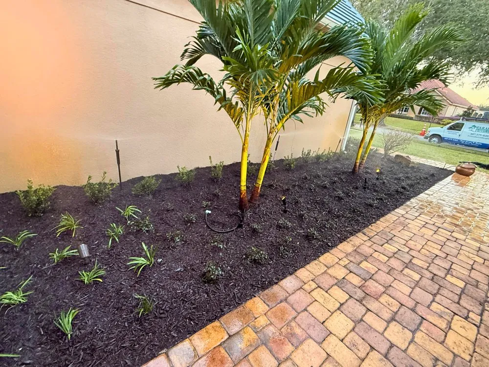 Trusted yard maintenance experts serving Winter Garden, FL - Paradise Landscaping & Irrigation