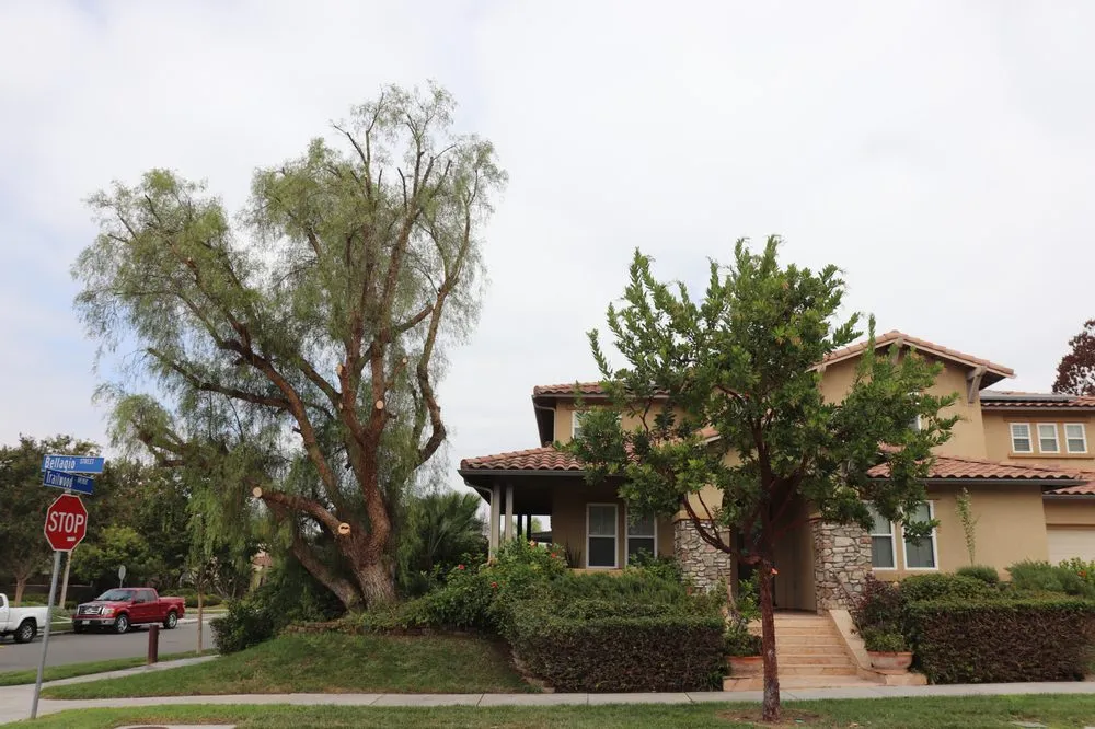 Affordable yard maintenance in San Diego, CA by Paradise Landscaping & Tree Experts