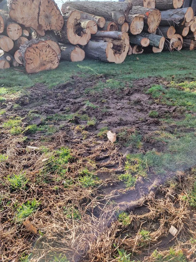 Custom yard maintenance for outdoor upgrades in Hamden, CT by Paradise Landscaping & Tree Removal