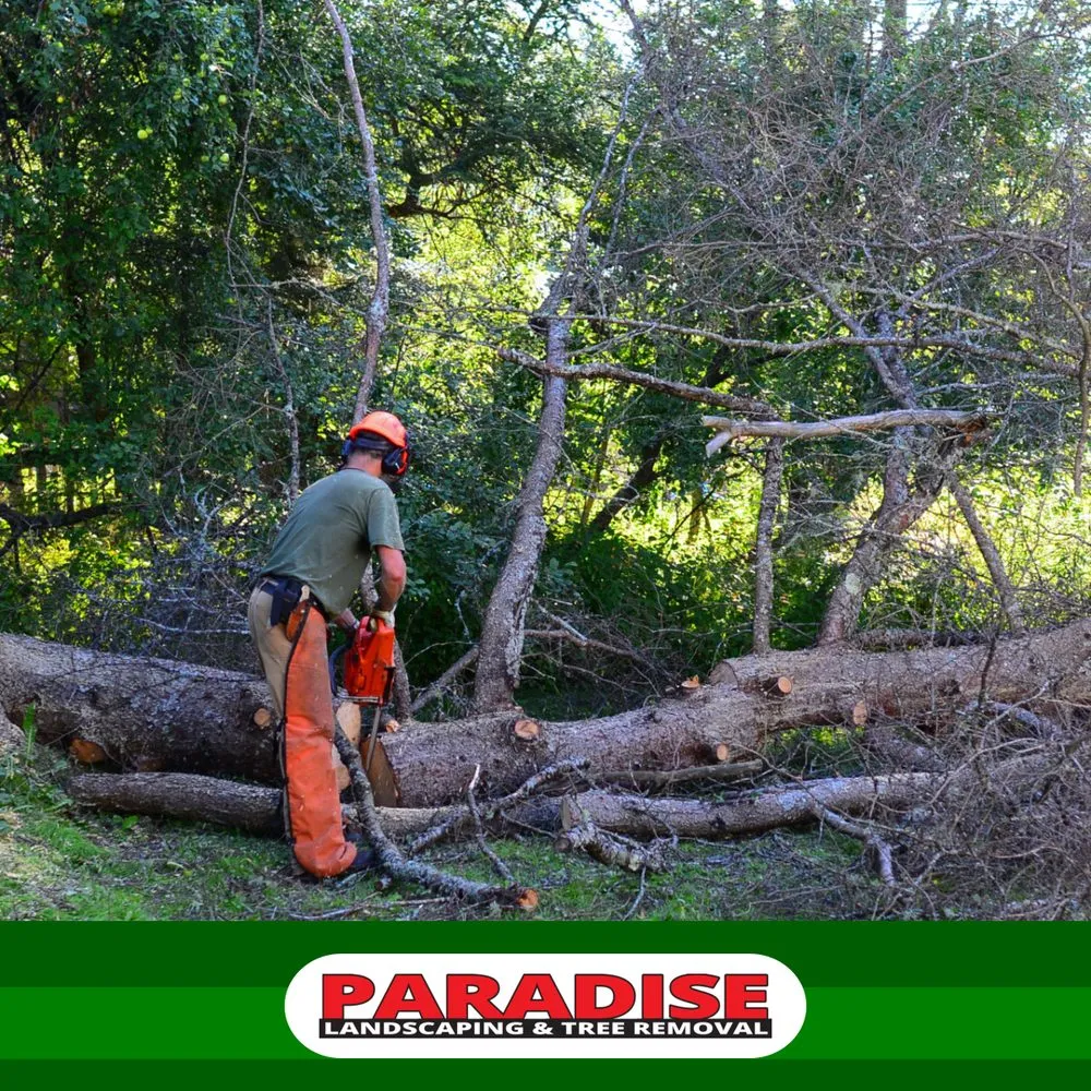 Top-rated lawn mowing service in Hamden, CT - Paradise Landscaping & Tree Removal