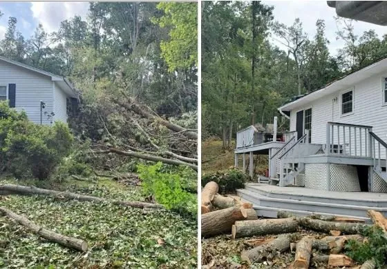 Trusted lawn mowing service experts serving Hamden, CT - Paradise Landscaping & Tree Removal