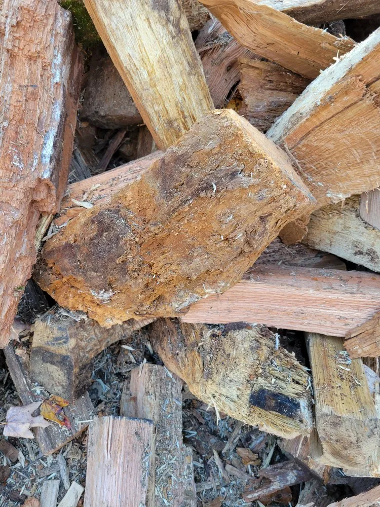 Affordable yard cleanup service for beautiful yards in Hamden, CT by Paradise Landscaping & Tree Removal