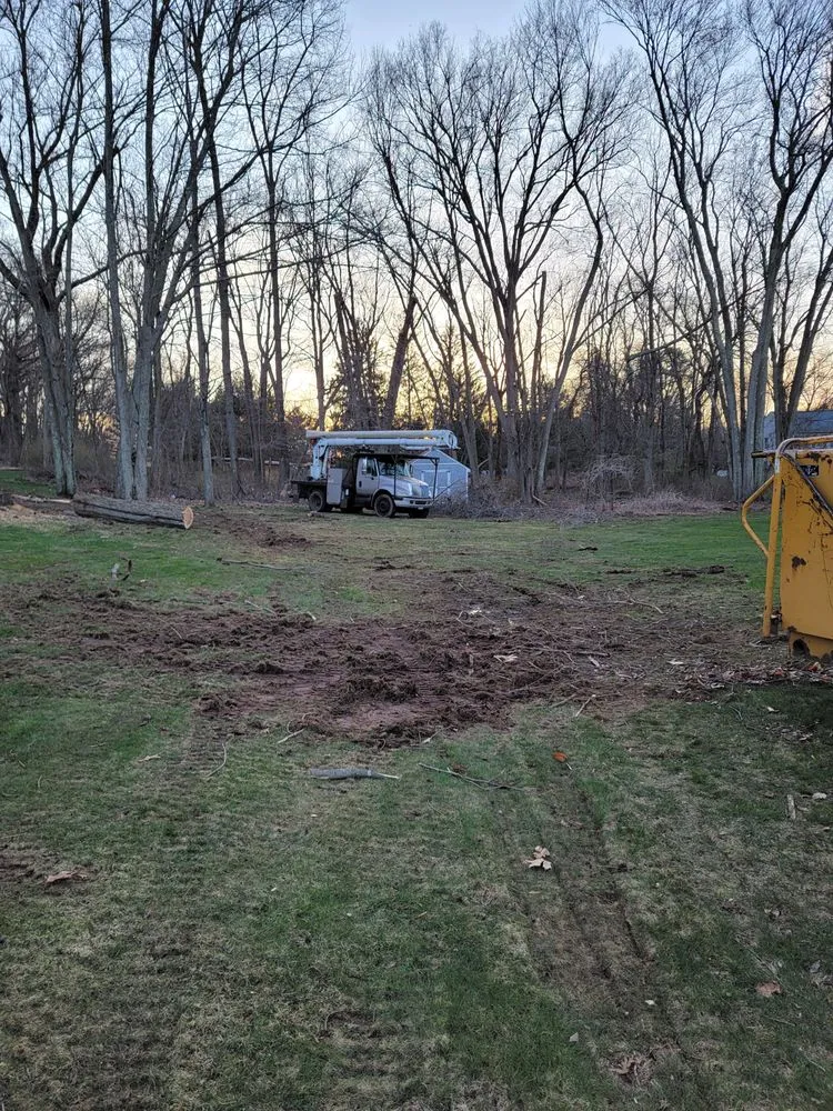 Affordable lawn care service experts serving Hamden, CT - Paradise Landscaping & Tree Removal