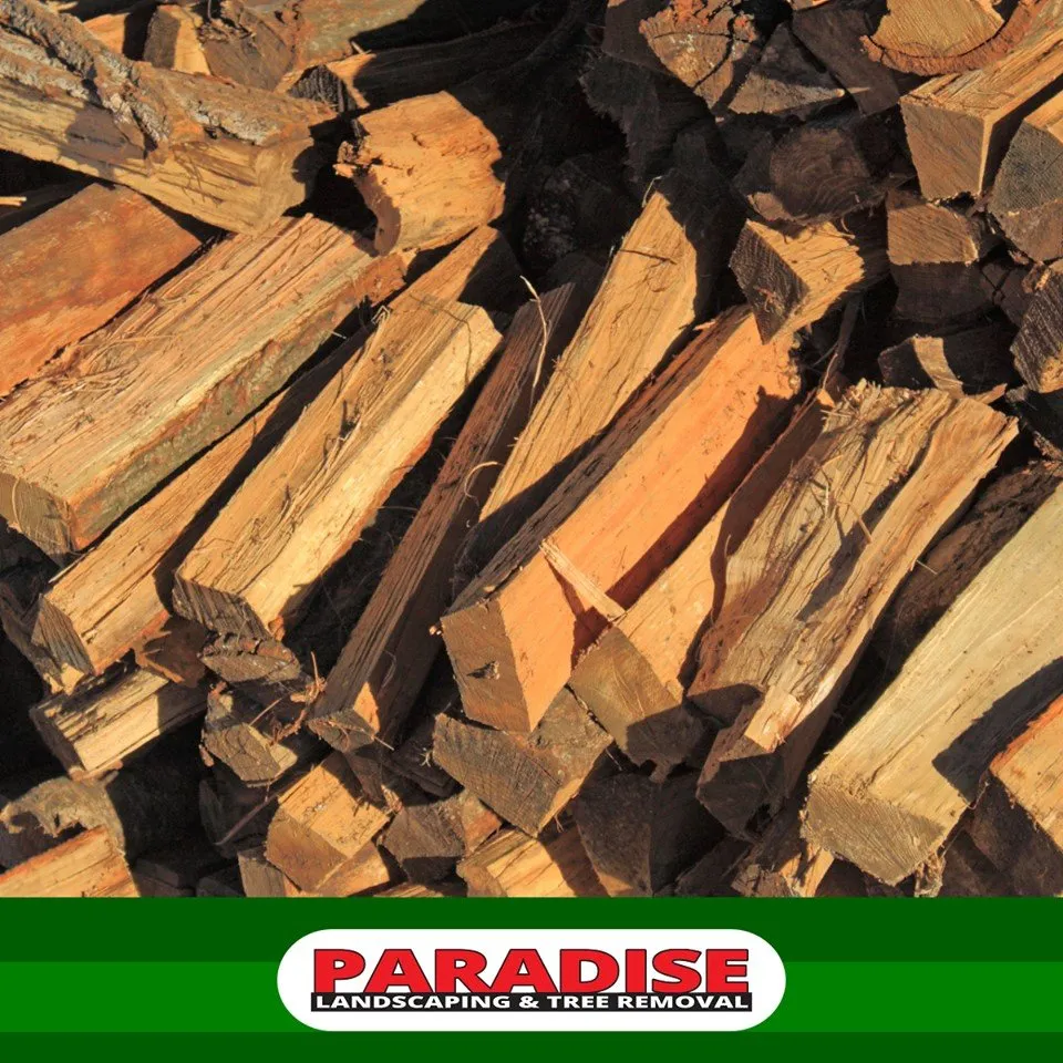 Professional landscaping services near you across Hamden, CT - Paradise Landscaping & Tree Removal