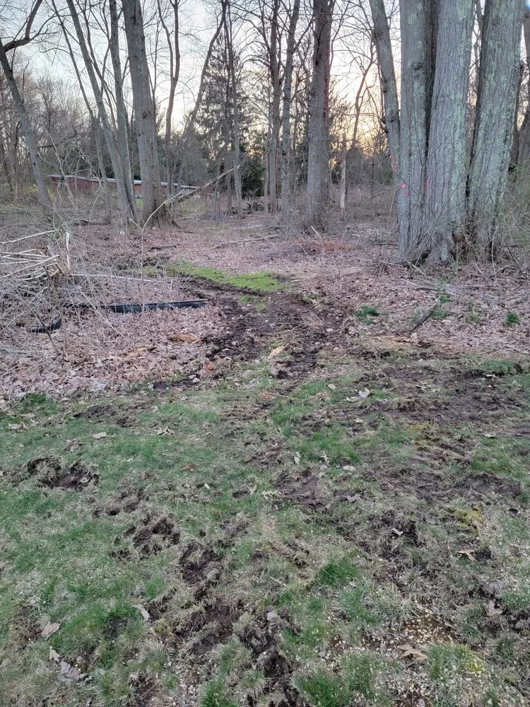 Expert lawn mowing service in Hamden, CT - Paradise Landscaping & Tree Removal