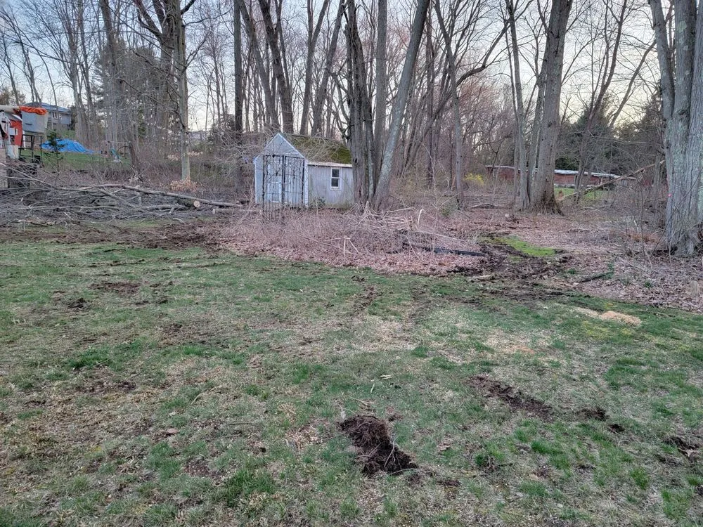 Top-rated landscaping services experts serving Hamden, CT - Paradise Landscaping & Tree Removal