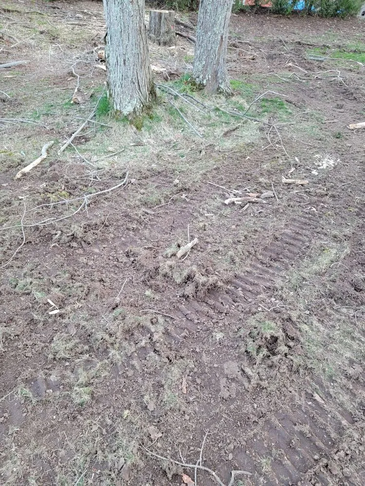 Local outdoor landscaping experts serving Hamden, CT - Paradise Landscaping & Tree Removal