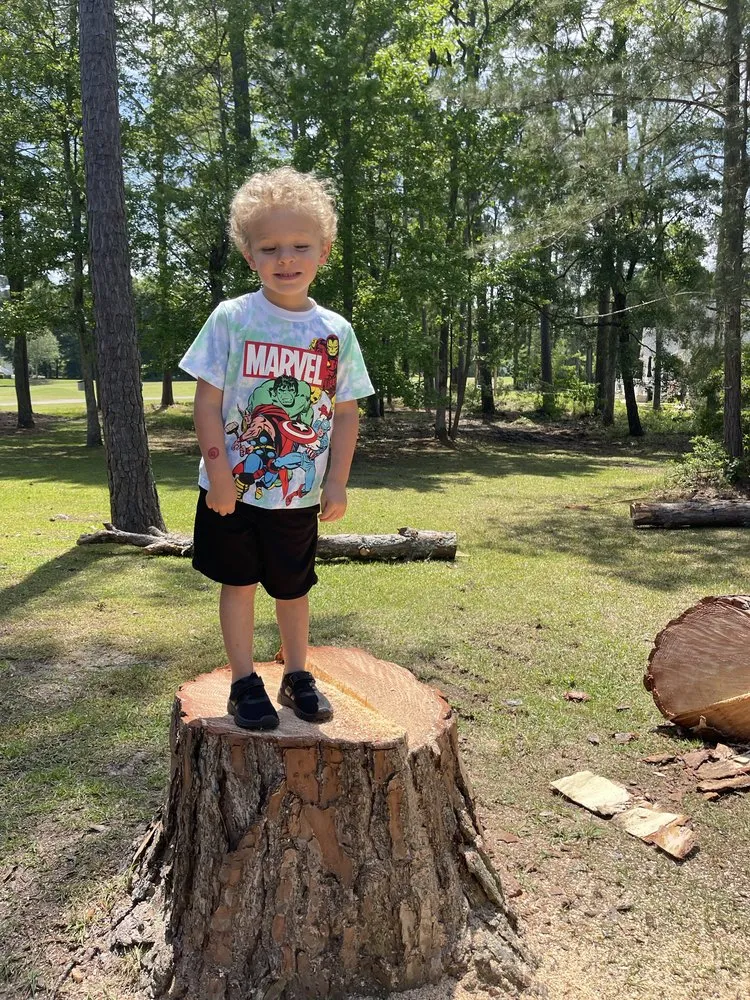 Local residential landscaping in Shallotte, NC - Paradise Landscaping & Tree Removal