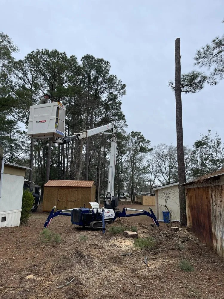 Affordable lawn care service for year-round maintenance in Shallotte, NC by Paradise Landscaping & Tree Removal