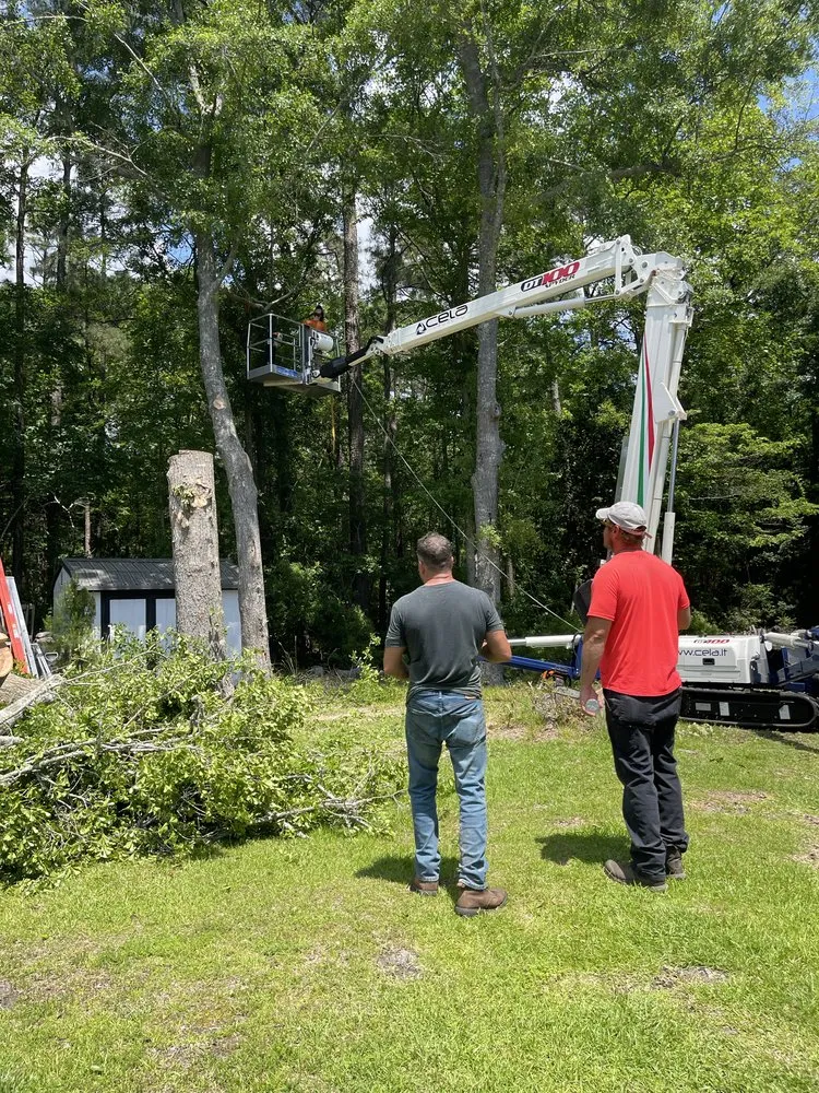 Affordable landscaping services experts serving Shallotte, NC - Paradise Landscaping & Tree Removal