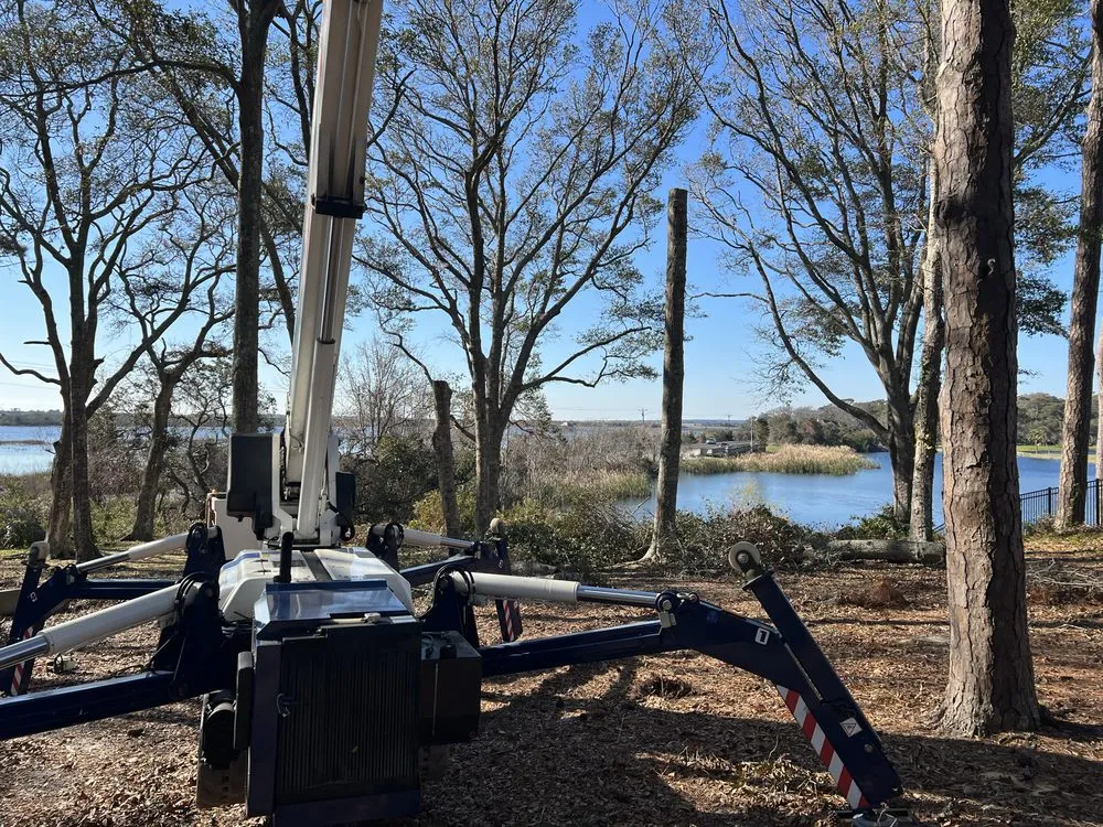 Expert landscaping services in Shallotte, NC - Paradise Landscaping & Tree Removal