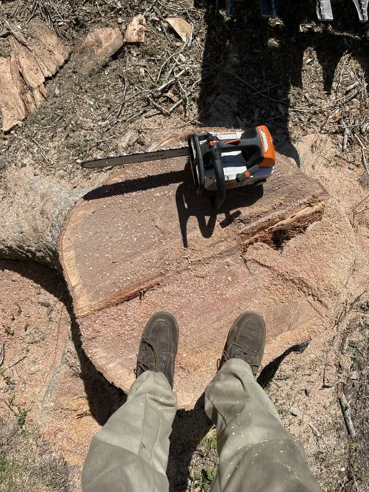 Reliable yard cleanup service in Shallotte, NC - Paradise Landscaping & Tree Removal