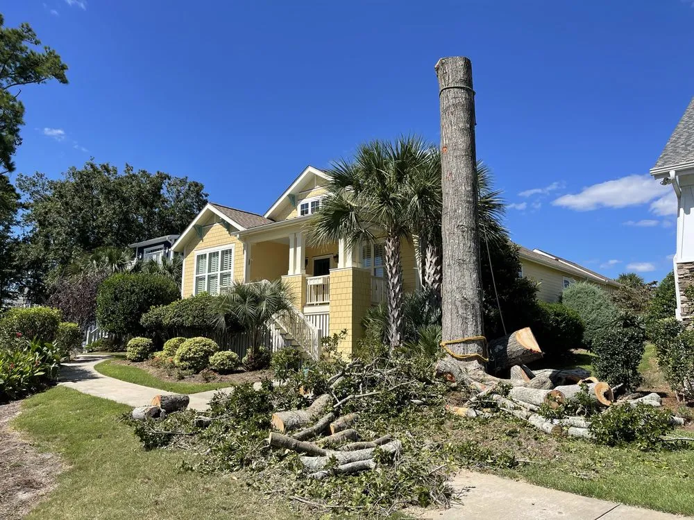 Top-rated outdoor landscaping in Shallotte, NC by Paradise Landscaping & Tree Removal