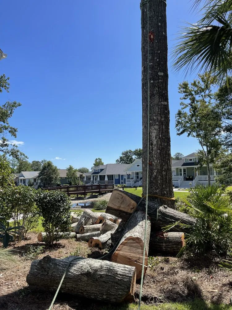 Local lawn mowing service in Shallotte, NC by Paradise Landscaping & Tree Removal