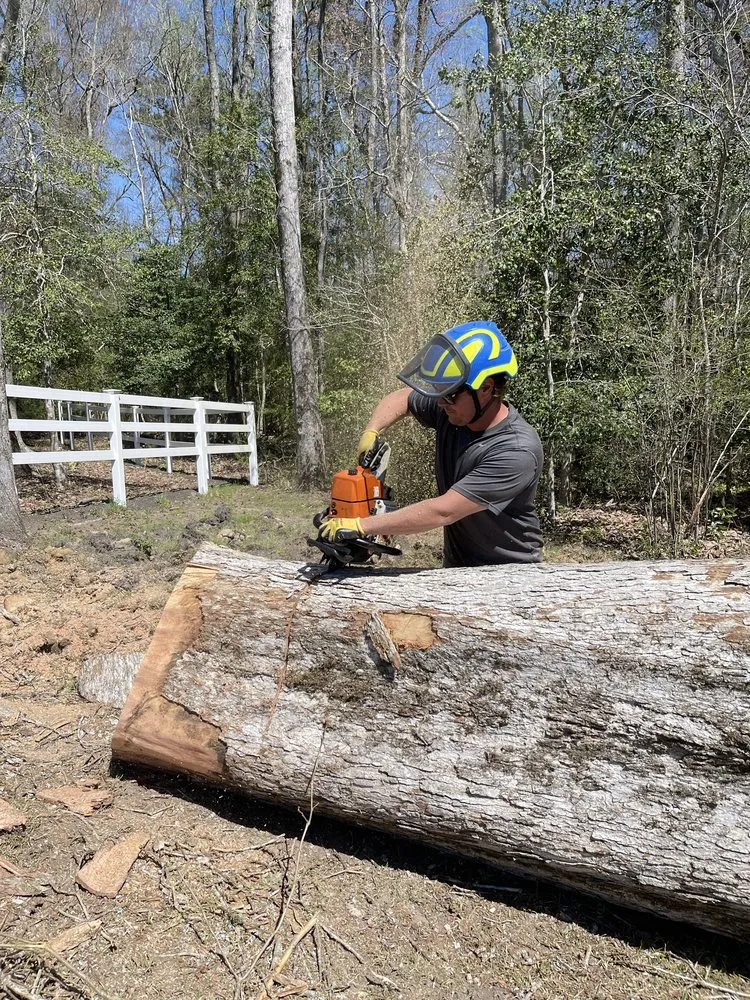 Custom landscape installation for year-round maintenance across Shallotte, NC - Paradise Landscaping & Tree Removal