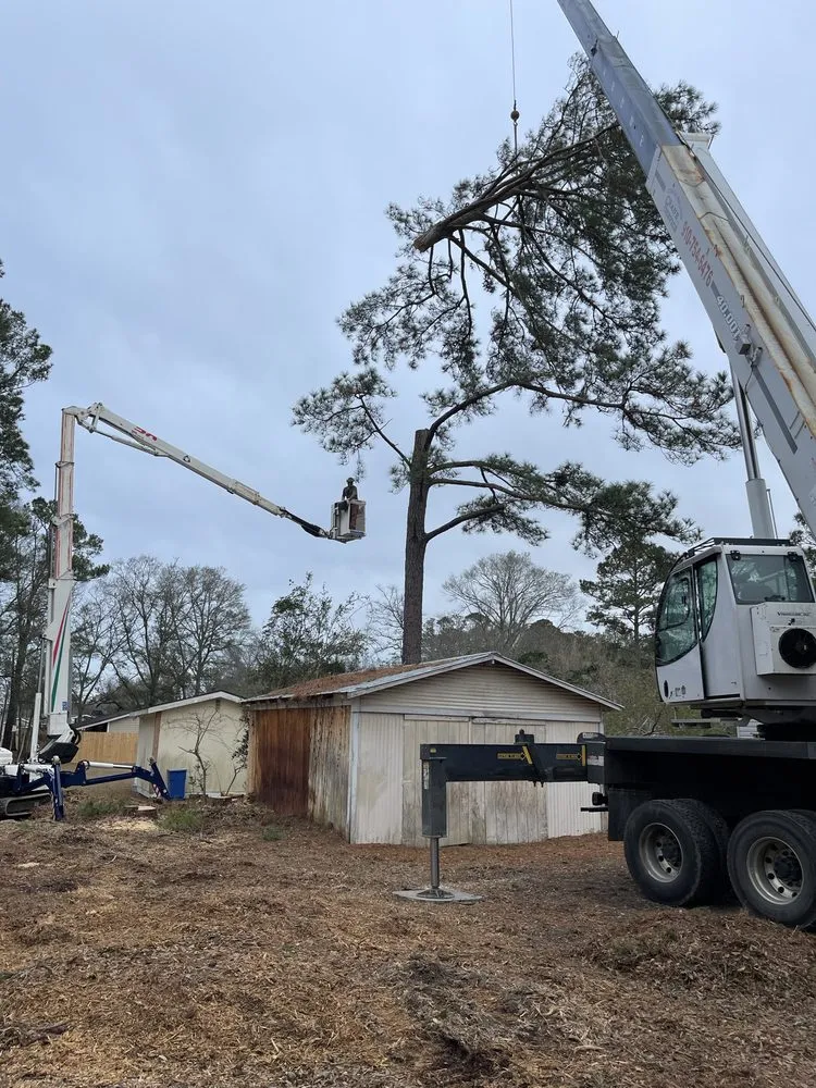 Reliable lawn care service experts serving Shallotte, NC - Paradise Landscaping & Tree Removal