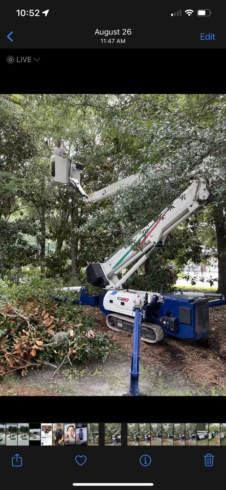 Expert residential landscaping for homes across Shallotte, NC - Paradise Landscaping & Tree Removal