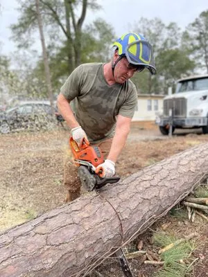 Paradise Landscaping & Tree Removal