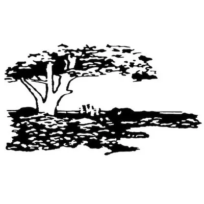 Paradise Landscaping and Design