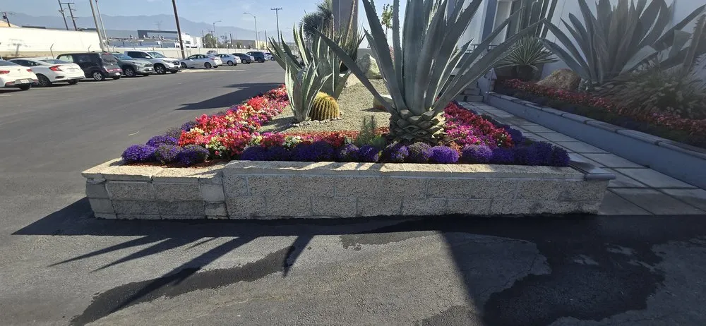 Local landscape installation in Glendale, CA by Paradise Landscaping and Gardening