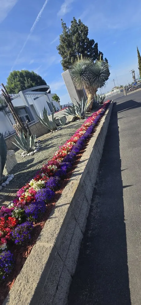 Trusted landscape design in Glendale, CA by Paradise Landscaping and Gardening