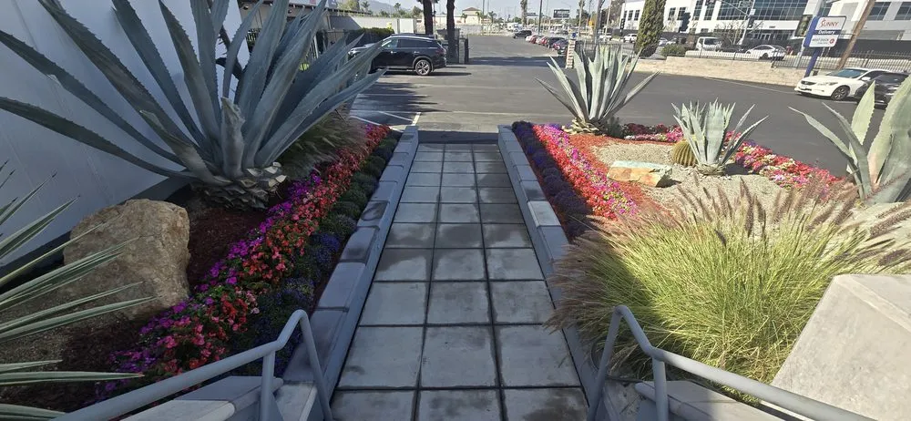 Local garden landscaping in Glendale, CA - Paradise Landscaping and Gardening