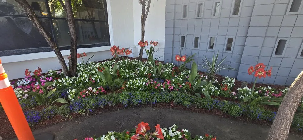 Affordable residential landscaping experts serving Glendale, CA - Paradise Landscaping and Gardening