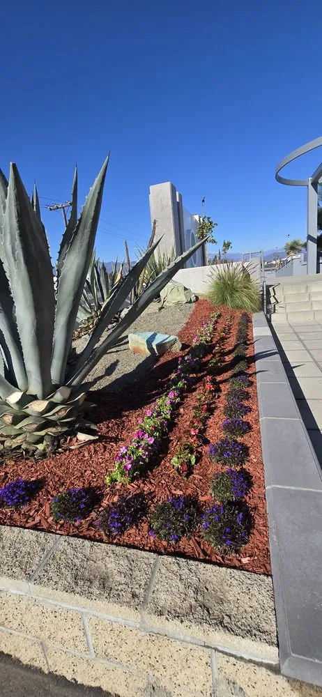 Local yard maintenance with custom design across Glendale, CA - Paradise Landscaping and Gardening