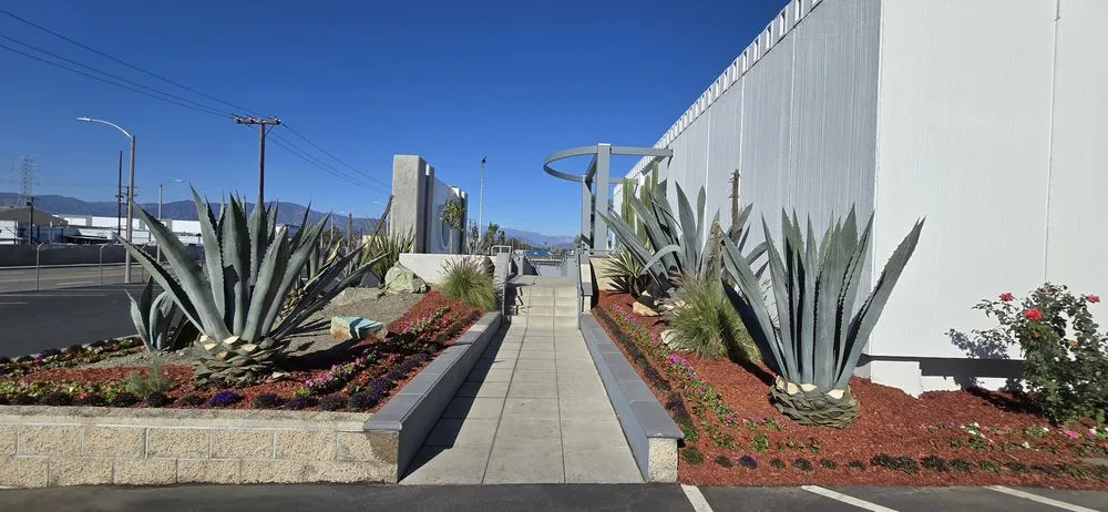 Expert yard cleanup service for residential properties in Glendale, CA by Paradise Landscaping and Gardening