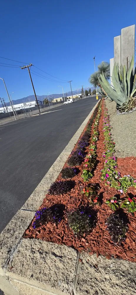 Local landscaping services in Glendale, CA - Paradise Landscaping and Gardening