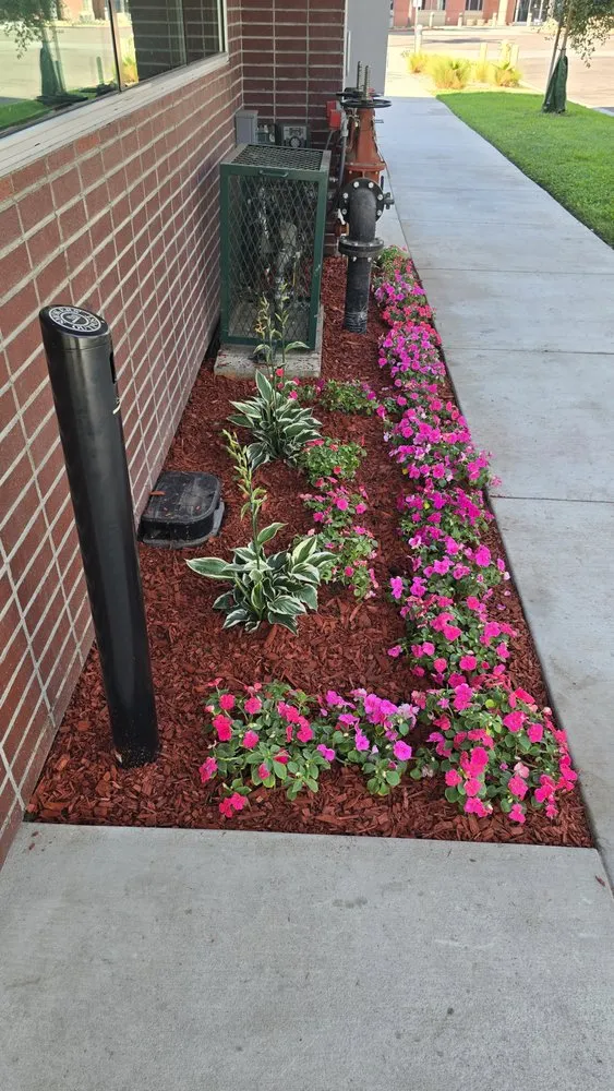 Expert lawn care service in Glendale, CA - Paradise Landscaping and Gardening