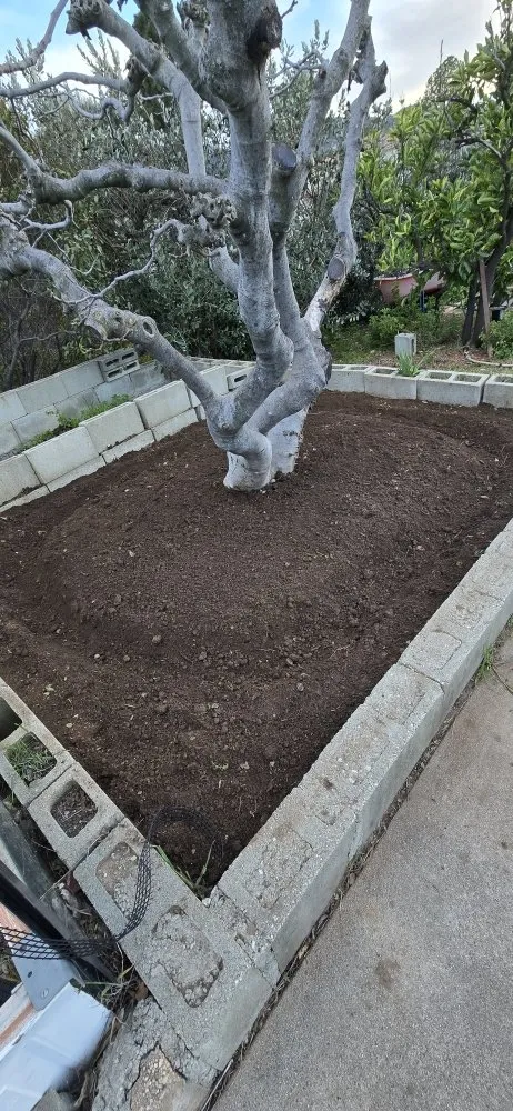 Custom yard maintenance in Glendale, CA by Paradise Landscaping and Gardening