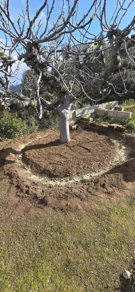 Affordable landscaping services in Glendale, CA by Paradise Landscaping and Gardening