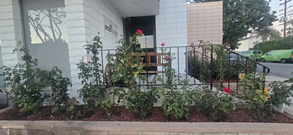 Affordable lawn care service in Glendale, CA by Paradise Landscaping and Gardening