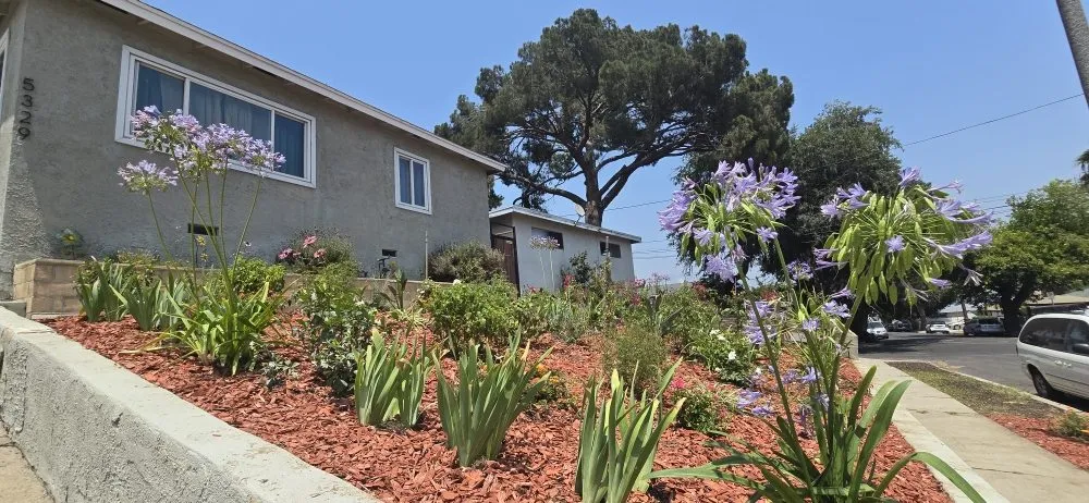 Top-rated landscaping services for outdoor upgrades across Glendale, CA - Paradise Landscaping and Gardening