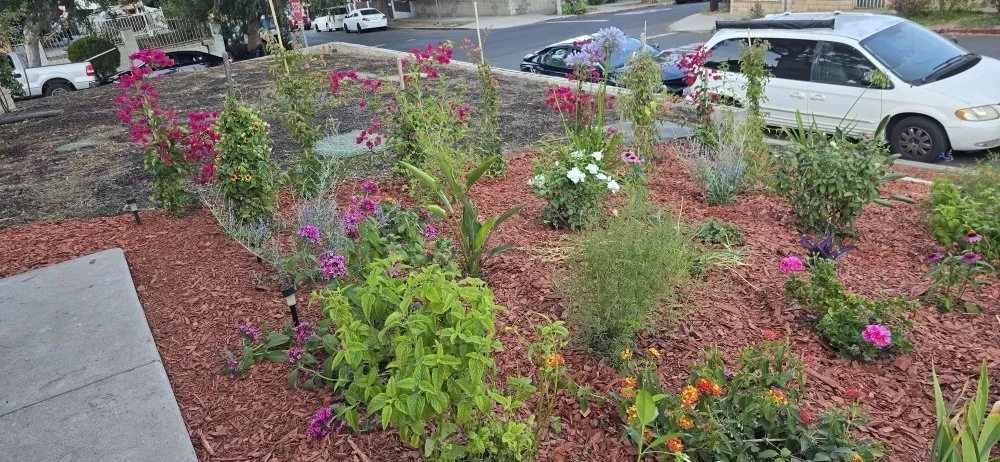 Local garden landscaping in Glendale, CA - Paradise Landscaping and Gardening