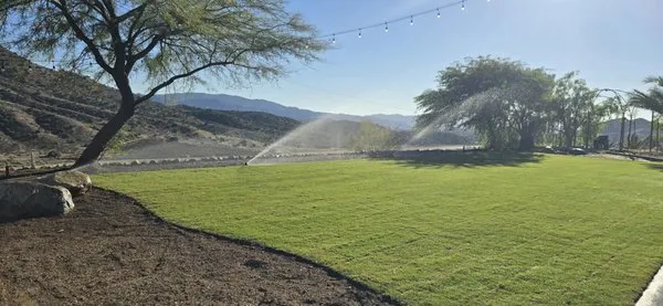 Paradise Landscaping and Gardening